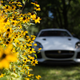 Image for article titled Time To Find Out What’s More Exciting: 575 HP Or Drum Brakes And No Airbags